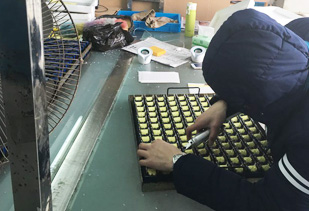 东信变压器，性价比真的很高！